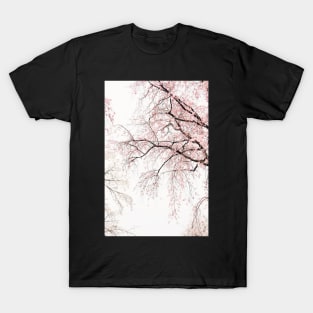 Pink Cherry Blossoms in the Mist T-Shirt